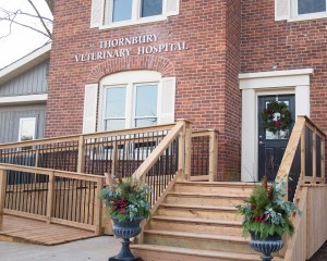 The Thornbury Veterinary Hospital